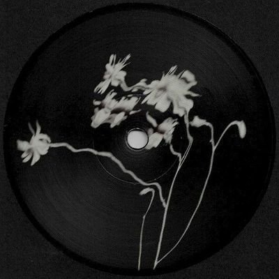 themishraly's profile picture. About me.