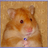 ishijoyi's profile image