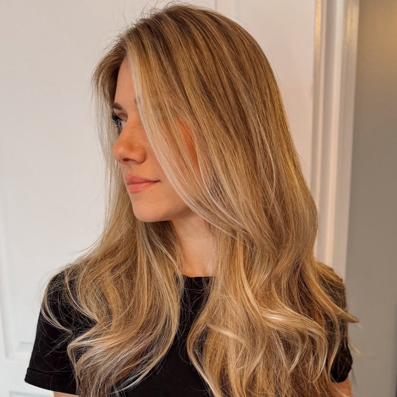 Ashleyvbcollabs's profile picture. 