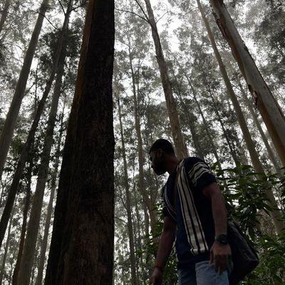 rakshit087's profile picture. developer fuelled by chai ☕
building @knotnow_co