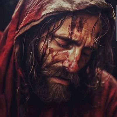 _tranthong's profile picture. DLord is good