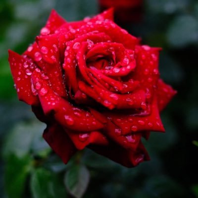 Olidu134954's profile picture. 