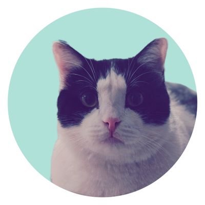 PedarePablo's profile picture. و نگار و کارون و سعید🔸#گربوی🔸@neglohotel