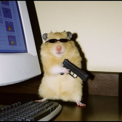 SetiseMarija's profile picture. Bot Marka Boriela, Ekspert iz oblasti Uigrana šema i ostale radinosti