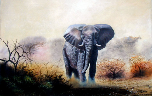 outlawelephant's profile picture. 