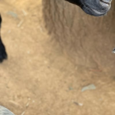 QuanZi26335's profile picture. 