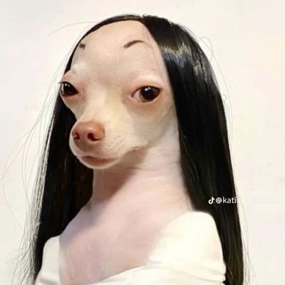 sickhomieee's profile picture. rasmalai