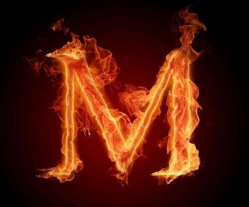 mariposate's profile picture. 