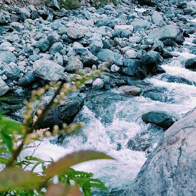 nodalLeaf004's profile picture. AI/ML student at @IIIT Nagpur 29 : Passionate about ML/DL/Data Science.