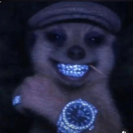 eng_clever_pm's profile picture. The 1%