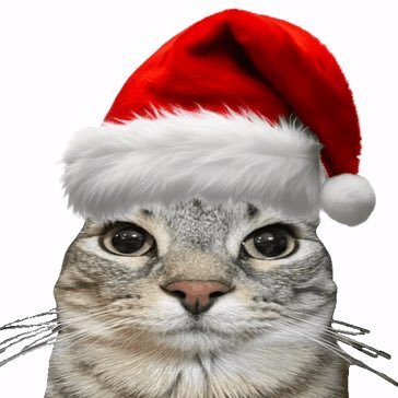 kaer1a's profile picture. just a silly non-binary british person / 18 / taken