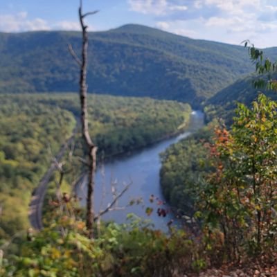 tswalms87's profile picture. 