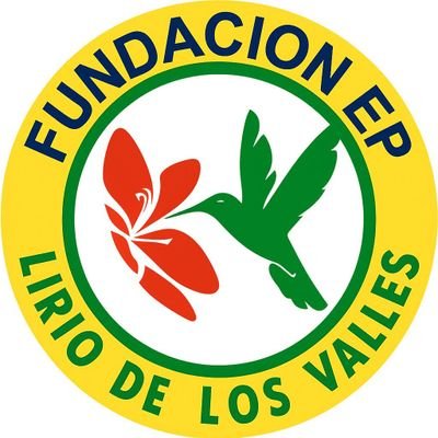Fundacion_LDLV's profile picture. ✨ Cuando la esperanza florece, la vida es transformada.
📍 Sincelejo, Colombia.