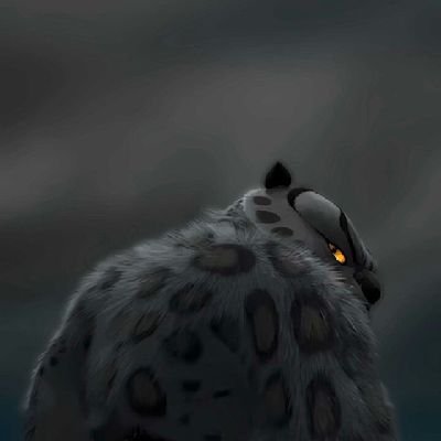 Dhruv__016's profile picture. Just a beginner.......Trying to comeback in life and build myself