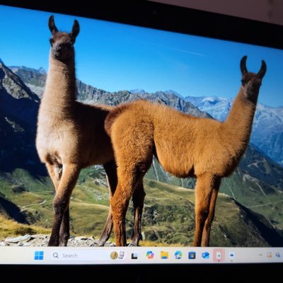 Aliyare1997's profile picture. 