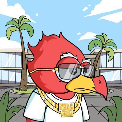 Signnerr's profile picture. BullishEverySingleDay!