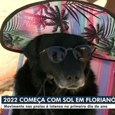 SafeMargins's profile picture. 