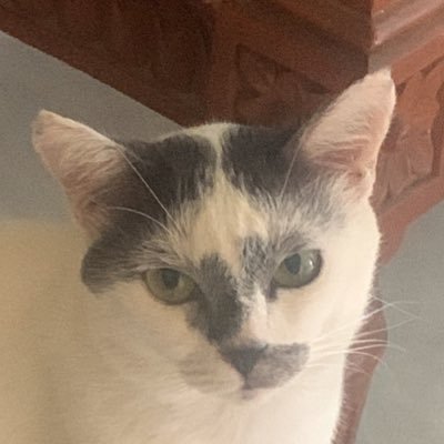 godgivesmercyy's profile picture. god gives mercy