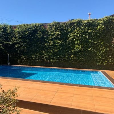 Lulu_Letrologa's profile picture. Sou feliz, Alegre e Forte
Tenho amor e muita sorte aonde quer que eu vá...