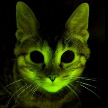 JonMatcho's profile picture. Posting about software and Bitcoin (money not a database)    npub1vensfwaww74vhmg235fk2740xdr8vns4gkm79sdey7z6923lavqsywf9u5