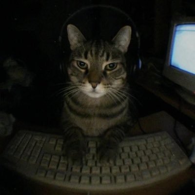 DaisannnnnnDev's profile picture. Web, App | Junior Dev   building and learning