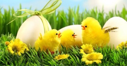 Maatjemooiernl's profile picture. De mooiste mode vanaf maat 44! 24/7 online shoppen!