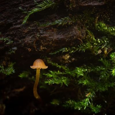 ArundellJim's profile picture. 