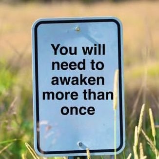 boss86220075523's profile picture. Fun fun fun