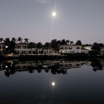 mmoryou's profile picture. 