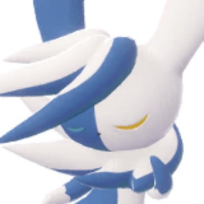 eccogram's profile picture. 