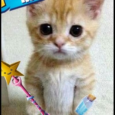 F0rtniteb0y's profile picture. i love fortnite