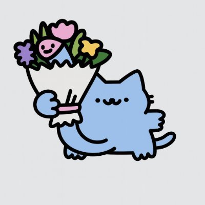 0xGivky's profile picture. Polite cat with the questionable bouquet