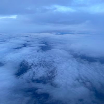 leo_bedroom's profile picture. .