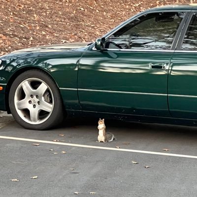 _CozyChris's profile picture. 6’5: Veteran 🇺🇸| avid motorcycle, and race car enthusiast | Georgia State Alumnus | Masters in HR | HR Professional | Mental Health Advocate