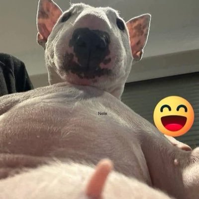 boriphat_s's profile picture. 