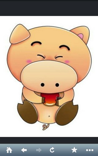 ddungiii Profile Picture