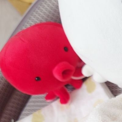 Tacoco_seaparad's profile picture. コウペンちゃんとお文具さんとミッフィーで身体の8割出来てるおたこちゃ
スタレをのんびりと
その他原神、とうらぶ、荒野、第5、雀魂、ポケモン等やったりやらなかったり
昨年6月に結婚し今年の11月に1児のパッパになりましたゲーム日常雑多垢👶 さユりとサカナクションを愛して(?)おります