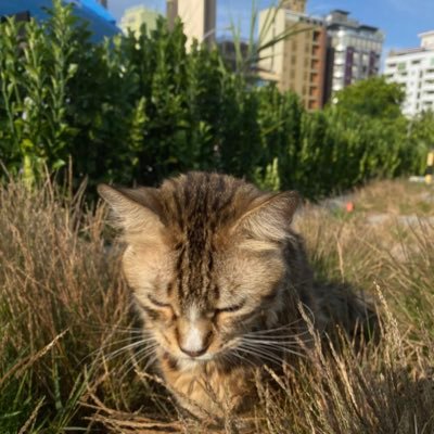 huvafeneh's profile picture. A daydreamer | living in the moment