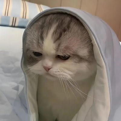 KirkLabada26507's profile picture. 