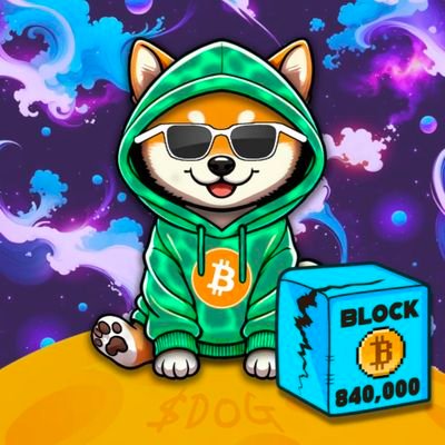 ohboyuh's profile picture. The hat sssssstays on 

$BTC $SNEK $ADA $DOG $DONG $DUNDIES