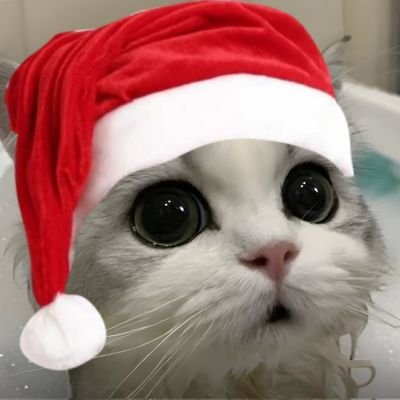 rocksxdebec's profile picture. Art and cs2 skins enjoyer, csgo physical pins collector and I do artworks sometimes bleeeh

🐢❤