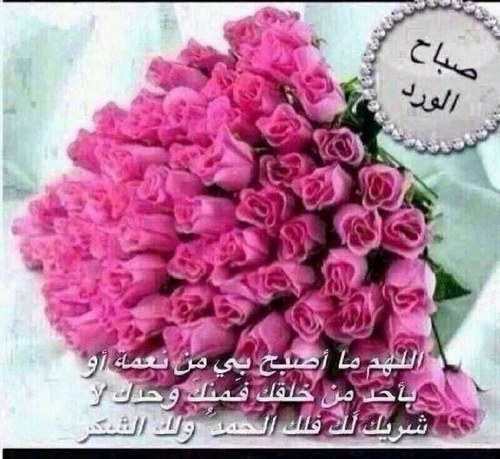 Lomo99Ruba's profile picture. 