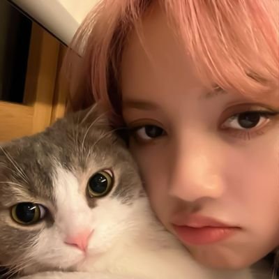 lisarecife's profile picture. 