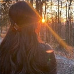 acixe92503's profile picture. 