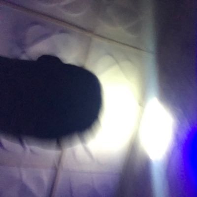 dhunter_01's profile picture. Que sera sera