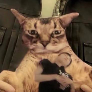 Leefeoj's profile picture. ทวิตใคร