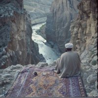 Ahmed ☕ (@shit_soph) 's Twitter Profile