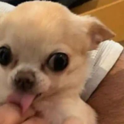 JIS00BIN's profile picture. hi?