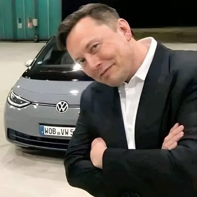 elonteslaceoii's profile picture. 