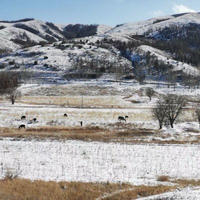 fewdogs886's profile picture. 